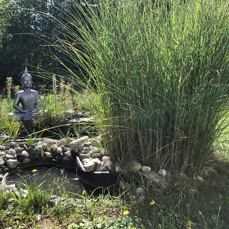 Oase Der Ruhe *